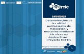 Determinación de la calidad postcosecha de melocotón y nectarina mediante técnicas no destructivas. Proyecto MITTIC 19/03/2015 Margarita Fernández García.