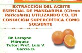 Br. Lerayne Márquez Tutor: Prof. Luis V. García B. EXTRACCIÓN DEL ACEITE ESENCIAL DE MANDARINA (Citrus Reticulata) UTILIZANDO CO 2 EN CONDICIÓN SUPERCRÍTICA.