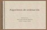 1 Algoritmos de ordenación Realizado por: José Carlos Sánchez Martínez Carlos Zaragoza Inglés.