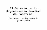 El Derecho de La Organización Mundial de Comercio Tratados, Jurisprudencia y Práctica.