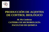 PRODUCCIÓN DE AGENTES DE CONTROL BIOLÓGICO M. Pía Cerdeiras CATEDRA DE MICROBIOLOGÍA FACULTAD DE QUIMICA.
