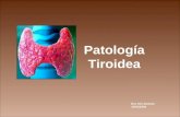 Patología Tiroidea Dra. M.C.Dassen 19/01/2009. Definición  Glándula endócrina  Peso 20gr  Formada x 2 lóbulos y el istmo  Ubicación: debajo hueso.