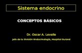 Sistema endocrino CONCEPTOS BÁSICOS Dr. Oscar A. Levalle Jefe de la División Endocrinología, Hospital Durand.