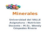 Minerales Universidad del VALLE Asignatura : Nutrición Docente : M.Sc. Wendy Céspedes Rivera.