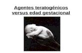 Agentes teratogénicos versus edad gestacional. Introducción El embarazo es el periodo que comprende desde la fecundación del óvulo, hasta el momento del.