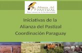 Iniciativas de la Alianza del Pastizal Coordinación Paraguay.