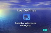 Los Delfines Los Delfines Rosalba Velazquez Rodríguez.