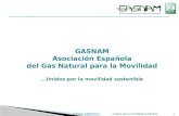 1 GASNAM Asociación Española del Gas Natural para la Movilidad …Unidos por la movilidad sostenible Edición 24/02/2014...unidos por la movilidad sostenible.