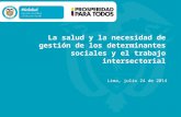 La salud y la necesidad de gestión de los determinantes sociales y el trabajo intersectorial Lima, julio 24 de 2014.