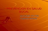 PREVENCION EN SALUD BUCAL ALCOCER VICTOR ALCOCER VICTOR CORREA BYRON CORREA BYRON