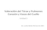Valoración del Tórax y Pulmones Corazón y Vasos del Cuello Unidad 3 Dra. Lourdes Méndez PhD-Nurs.231-UMET.