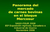 1 Panorama del mercado de carnes bovinas en el bloque Mercosur SAGO-FISUR 2008 85º Exposición Agrícola, Ganadera e Industrial de Osorno Noviembre 2008.
