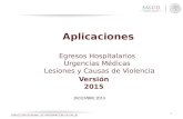 DIRECCIÓN GENERAL DE INFORMACIÓN EN SALUD 1 DICIEMBRE 2014 Aplicaciones Egresos Hospitalarios Urgencias Médicas Lesiones y Causas de Violencia Versión.