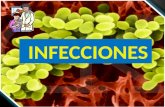 ¿Que es infección? Infección es el término clínico para la colonización de un organismo huésped por especies exteriores. En la utilización clínica del.
