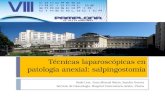 Técnicas laparoscópicas en patología anexial: salpingostomía Iñaki Lete, Juan Manuel Marín, Sandra Guerra Servicio de Ginecología. Hospital Universitario.