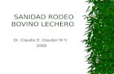 SANIDAD RODEO BOVINO LECHERO Dr. Claudio E. Glauber M.V. 2009.