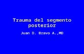 Trauma del segmento posterior Juan D. Bravo A.,MD.