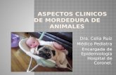 Dra. Celia Ruiz Médico Pediatra Encargada de Epidemiología Hospital de Coronel.