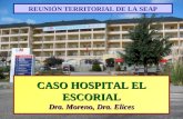 CASO HOSPITAL EL ESCORIAL Dra. Moreno, Dra. Elices REUNIÓN TERRITORIAL DE LA SEAP.