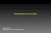 PROBLEMAS ARTICULARES Ignacio Durall Universidad Autónoma de Barcelona.