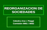 REORGANIZACION DE SOCIEDADES Cátedra Ana I. Piaggi Comisión 9061 / 9062.