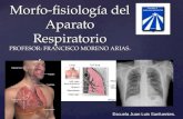 { Morfo-fisiología del Aparato Respiratorio PROFESOR: FRANCISCO MORENO ARIAS. Escuela Juan Luis Sanfuentes.