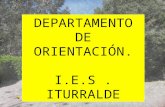 DEPARTAMENTO DE ORIENTACIÓN. I.E.S. ITURRALDE. ORIENTACIÓN ACADÉMICA DESDE 3º DE LA E.S.O.
