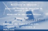 Modalidad Cursos de habilitación laboral de Jóvenes y Adultos Ministerio de Educación Dirección General de Educación de Jóvenes y Adultos Dirección de.
