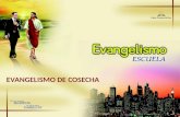 EVANGELISMO DE COSECHA. ¡No basta ser adventista, hay que ser evangelista!