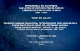 UNIVERSIDAD DE GUAYAQUIL FACULTAD DE CIENCIAS PSICOLÓGICAS CARRERA DE PSICOLOGÍA CLÍNICA 2012 - 2013 TESIS DE GRADO “DINÁMICA FAMILIAR CONFLICTIVA, REPERCUSIONES.