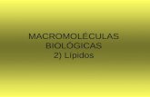 MACROMOLÉCULAS BIOLÓGICAS 2) Lípidos. Son constituyentes importantes de la alimentación (aceites, manteca, yema de huevo).