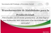 Transformación de Habilidades para la Productividad: Vinculación con el sector productivo: ¿Cómo lograr una formación más relevante a las necesidades del.