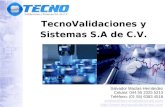 TecnoValidaciones y Sistemas S.A de C.V. Salvador Macías Hernández Celular: 044 55 2325 5213 Teléfono: (01 55) 6383 4518 ventas@tecnovalidaciones.com .