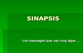 SINAPSIS Los mensajes que van muy lejos ….. A otra Neurona A un órgano efector (músculos o glándulas) El sistema de contacto con de una neurona con la.