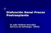 Disfunción Renal Precoz Postrasplante Dr. Julio Valdivia Arencibia Servicio de Nefrología. CIMEQ.