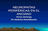 NEUROPATÍAS PERIFÉRICAS EN EL ANCIANO Renzo Berlanga R2 Medicina Rehabilitación.