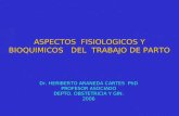 ASPECTOS FISIOLOGICOS Y BIOQUIMICOS DEL TRABAJO DE PARTO Dr. HERIBERTO ARANEDA CARTES PhD PROFESOR ASOCIADO DEPTO. OBSTETRICIA Y GIN. 2006.