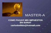 MASTER-A MASTER-A COMO PAGAR MIS IMPUESTOS EN SUNAT carlosbellido@hotmail.com.