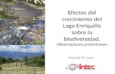 Efectos del crecimiento del Lago Enriquillo sobre la biodiversidad. Observaciones preliminares Yolanda M. León.