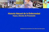 Historia Natural de la Enfermedad Fases y Niveles de Prevención Modificado de la presentación de: MC. María Luisa Zárate Aquino.