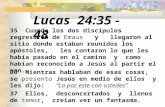 Lucas 24:35 - 48 35 Cuando los dos discípulos regresaron de Emaus y llegaron al sitio donde estaban reunidos los apóstoles, les contaron lo que les había.