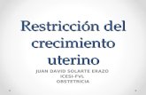 Restricción del crecimiento uterino JUAN DAVID SOLARTE ERAZO ICESI-FVL OBSTETRICIA.