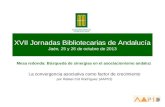 XVII Jornadas Bibliotecarias de Andalucía Jaén, 25 y 26 de octubre de 2013 Mesa redonda: Búsqueda de sinergias en el asociacionismo andaluz La convergencia.