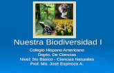 Nuestra Biodiversidad I Colegio Hispano Americano Depto. De Ciencias Nivel: 5to Básico - Ciencias Naturales Prof. Ma. José Espinoza A.