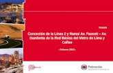 TEASER Concesión de la Línea 2 y Ramal Av. Faucett – Av. Gambetta de la Red Básica del Metro de Lima y Callao - Febrero 2013 -