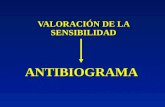 VALORACIÓN DE LA SENSIBILIDAD ANTIBIOGRAMAANTIBIOGRAMA.