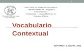 Vocabulario Contextual Liceo Siete de Niñas de Providencia Departamento de Lenguaje y Comunicación Profesoras : Juana Martínez G. Gabriela Molina SÉPTIMOS.