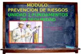 MODULO: PREVENCION DE RIESGOS UNIDAD 1:FUNDAMENTOS DE SEGURIDAD Profesor: Fabiola Guevara Z Ingeniero Forestal Marzo 2009.