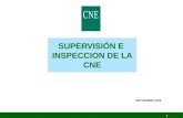 1 SUPERVISIÓN E INSPECCION DE LA CNE SEPTIEMBRE 2008.