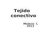 Tejido conectivo Módulo I, 2013. OBJETIVOS ESPECÍFICOS 1. Identificar los componentes del tejido conectivo 2. Clasificar los tipos de tejido conectivo.
